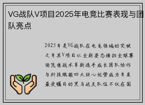 VG战队V项目2025年电竞比赛表现与团队亮点